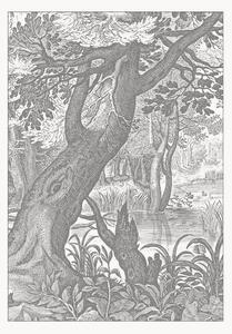 Carta da parati in tessuto non tessuto Engraved Landscapes