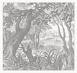Carta da parati in tessuto non tessuto Engraved Landscapes