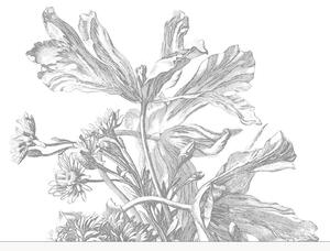 Carta da parati Engraved Flowers