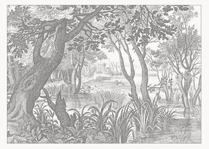 Carta da parati in tessuto non tessuto Engraved Landscapes