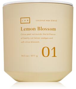 DW Home Lab Lemon Blossom candela profumata 411 g