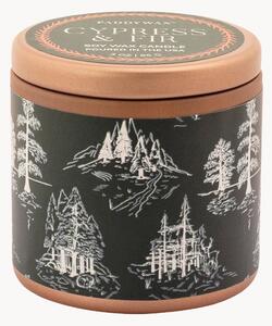 Candela profumata Winter Woods (cipresso & abete)