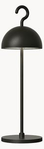 Lampada decorativa a LED dimmerabile In & Outdoor con batteria Hook