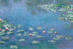 Posters, Stampe Claude Monet - Waterlillies