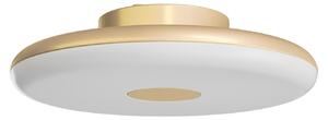 OSMONT ZET60006 ZETA 1 FP Plafona/applique in plastica, Golden Beach / Bianco, grado di protezione IP40, 3000 K, LED da 31 W