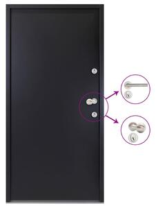 Porta Ingresso in Alluminio Antracite 100x200 cm
