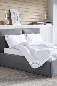 Set antiacaro per tutto l'anno: cuscino + coperta per tutto l'anno (70x90 cm, 140x200 cm)
