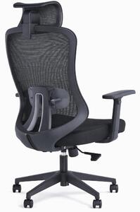 Sedia da ufficio ergonomica con poggiatesta e braccioli regolabili