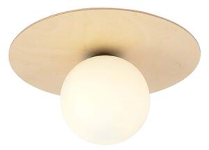 Plafoniera Minimal Pegaso Acciaio Marrone 1 Luce E14 Ip20