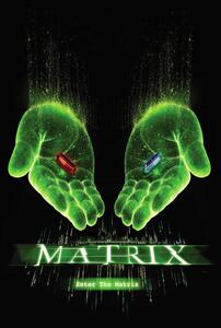 Stampa d'arte Matrix - Choose your path, (26.7 x 40 cm)