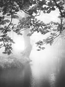 Fotografia Misty river, Rudolf Vlcek