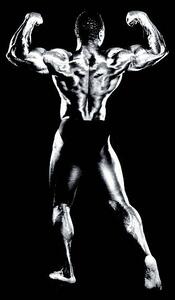 Fotografia Male bodybuilder flexing muscles rear view B W, Robert Daly