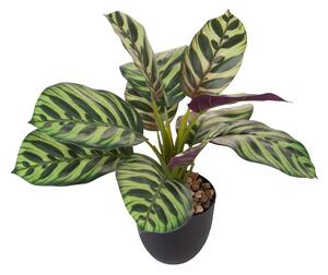 Set 2 Piante Artificiali Maranta 11 Foglie in Vasi 36 cm