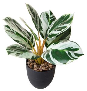 Set 2 Piante Artificiali Maranta 11 Foglie in Vasi 36 cm