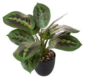 Set 2 Piante Artificiali Maranta 11 Foglie in Vasi 36 cm