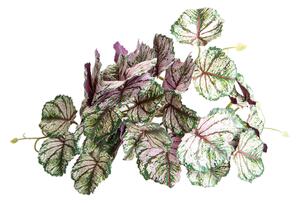Set 4 Rami Artificiali Heuchera per 36 Foglie 20 cm