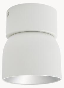 Faretto da soffitto con luce regolabile Pitcher