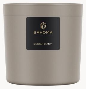 Candela a una fiamma Ash (limone siciliano)