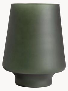 Vaso Nehoiu