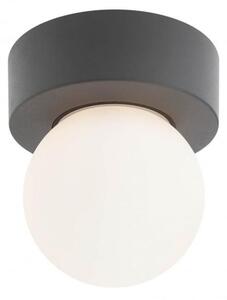 BULK APPLIQUE PLAFONIERA IP44 DA ESTERNO ANTRACITE CON SFERA BIANCA OPALE LAMPADINA ATTACCO E27