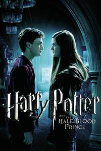 Stampa d'arte Harry Potter and The Half-Blood Prince - Ginny's Kiss