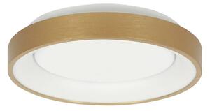 Steinhauer Plafoniera Ringlede LED, oro, altezza 6 cm, Ø 38 cm