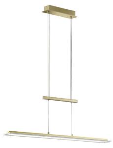 FISCHER & HONSEL Lampada a sospensione LED Tenso, colore ottone, lunghezza 100 cm, CCT