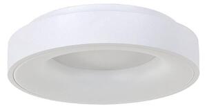 Steinhauer Ringlede Plafoniera LED, 2.700 K, Ø 30 cm, bianco, metallo