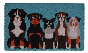 Zerbino in fibre di cocco 45x75 cm – Esschert Design