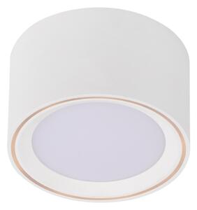 Nordlux - Faretto LED dimmerabile FALLON LED/5,5W/230V bianco