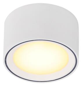 Nordlux - Faretto LED dimmerabile FALLON LED/5,5W/230V bianco