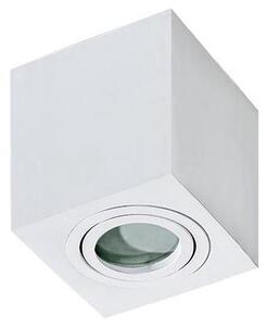 Azzardo AZ2822 - Plafoniera da bagno BRANT 1xGU10/50W/230V IP44