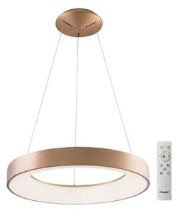 Azzardo AZ5013 - Lampadario a sospensione con filo LED dimmerabile SANTANA LED/80W/230V oro + +TC