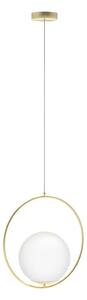 Azzardo AZ4983 - Lampadario a sospensione con filo JUMBO 1xG9/50W/230V oro