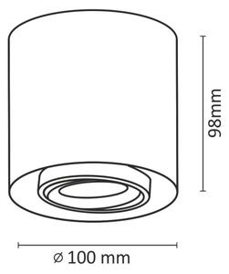 Luce Spot a LED XENO LED/15W/230V bianco 1200lm