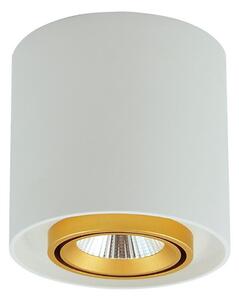 Luce Spot a LED XENO LED/15W/230V bianco 1200lm