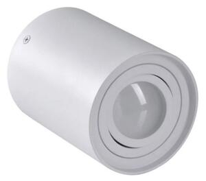 Luce Spot HADAR R1 1xGU10/10W/230V bianco