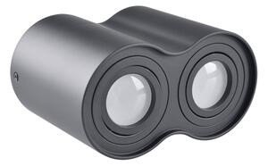 Faretto HADAR 2xGU10/10W/230V nero