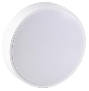 Plafoniera LED per bagno RENE LED/15W/230V IP44 bianca