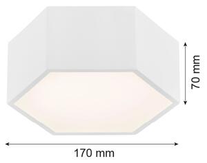 Argon 3828 - Plafoniera LED ARIZONA LED/9W/230V bianca