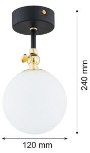 Argon 4003 - Plafoniera da bagno LATINA 1xE14/7W/230V IP44 nero/ottone