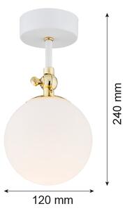 Argon 4002 - Plafoniera da bagno a montaggio superficiale LATINA 1xE14/7W/230V IP44 bianco/oro