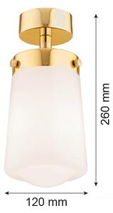 Argon 8005 - Surface-mounted lampadario PASADENA 1xE27/15W/230V oro/bianco
