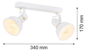 Argon 7036 - Luce Spot TWIST 2xE14/7W/230V bianco/oro