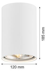 Argon 4910 - Luce Spot TUBO AR111 1xGU10/15W/230V bianco