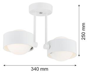 Argon 7088 - Lampadario su palo MASSIMO PLUS 2xG9/6W/230V bianco