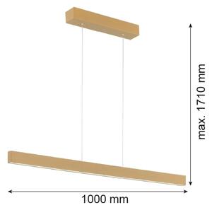 Argon 8306 - Lampadario LED a sospensione con filo BALANS LED/35W/230V 3000K oro