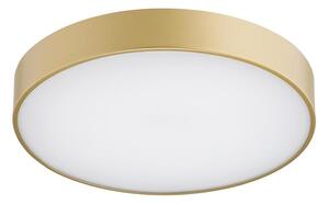 Argon 8349 - Plafoniera LED TIAMO LED/22W/230V 4000K oro