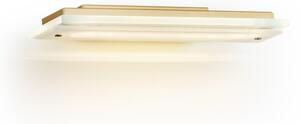 Argon 8363 - Applique VELO LED 7,2W 230V 3000K oro/trasparente