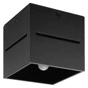 Plafoniera LOBO 1xG9/40W/230V nero